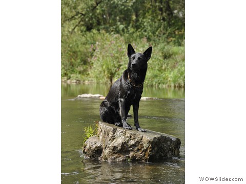 Emi vom Kretzschauer Land