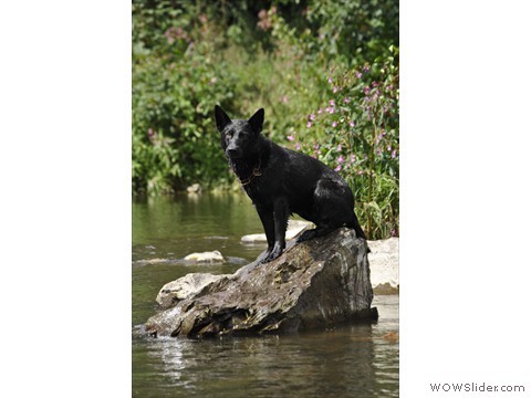 Emi vom Kretzschauer Land