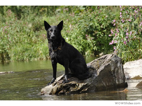 Emi vom Kretzschauer Land