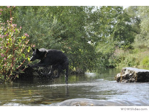Emi vom Kretzschauer Land