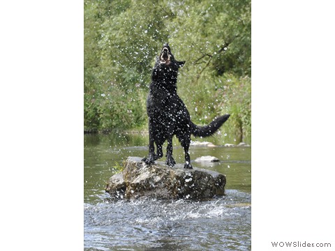 Carlotta von der Maineiche