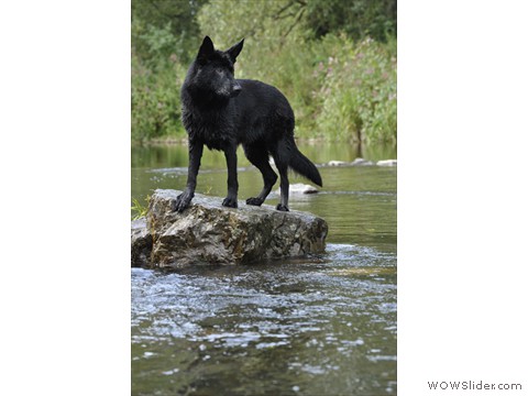 Carlotta von der Maineiche