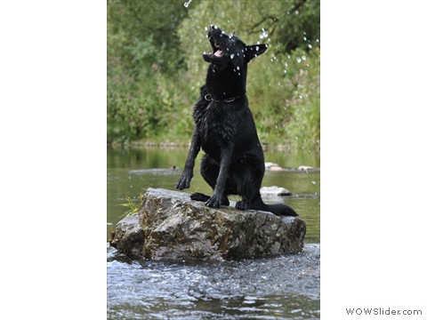 Carlotta von der Maineiche