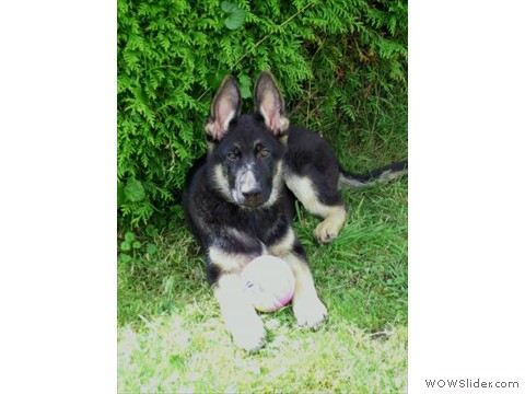 Bijou 05-08-2012_1