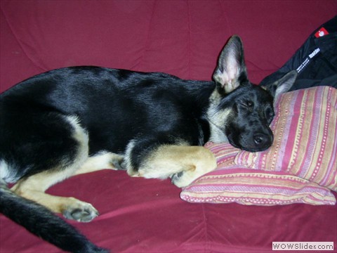 Bijou 09-2012_3