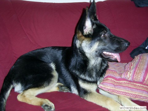 Bijou 09-2012_4
