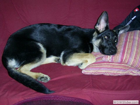 Bijou 09-2012_5