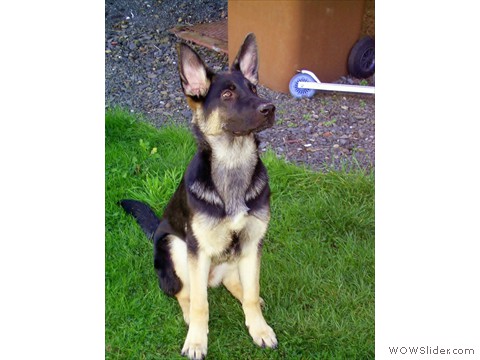 Bijou 10-2012_1