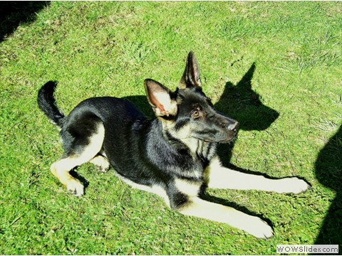 Bijou 10-2012_2