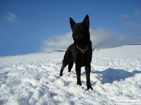 Emi vom Kretzschauer Land