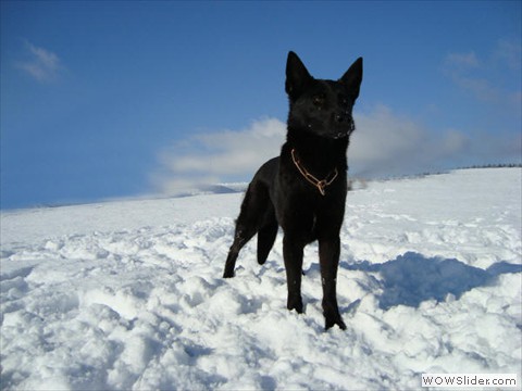 Emi vom Kretzschauer Land