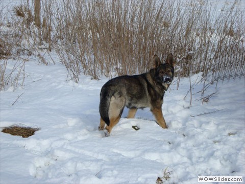Nele vom Sichelnsteiner Fels