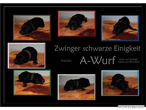 Galeriebild 1. Lebenswoche