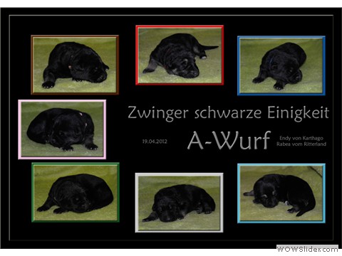 Galeriebild 2. Lebenswoche