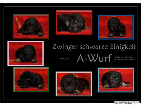 Galeriebild 3. Lebenswoche