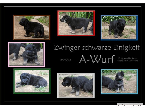 Galeriebild 4. Lebenswoche