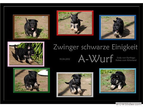 Bildergalerie 5. Lebenswoche