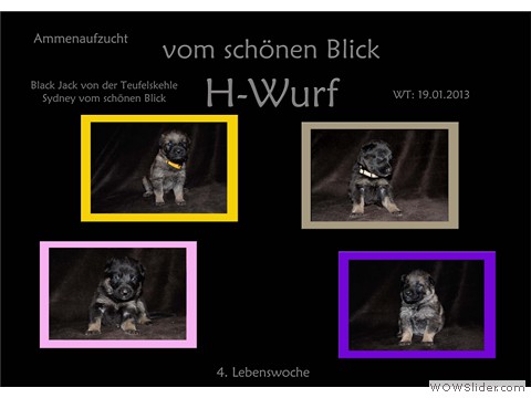 Galeriebild 4. Lebenswoche
