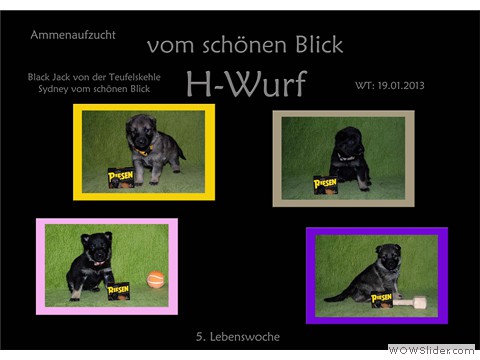 Galeriebild 5. Lebenswoche