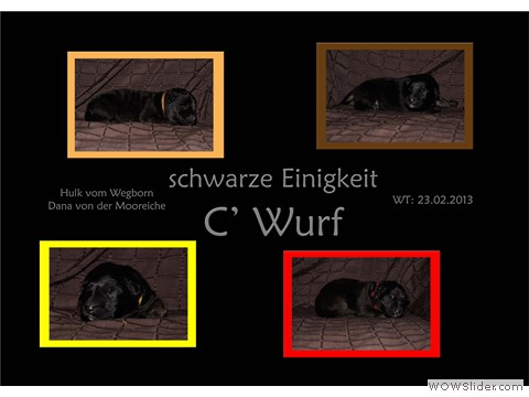 Galeriebild 1. Lebenswoche