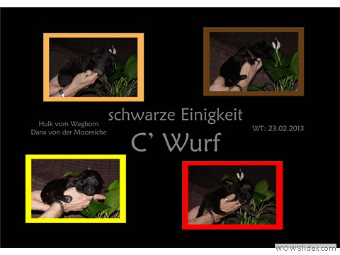 Galeriebild 2. Lebenswoche