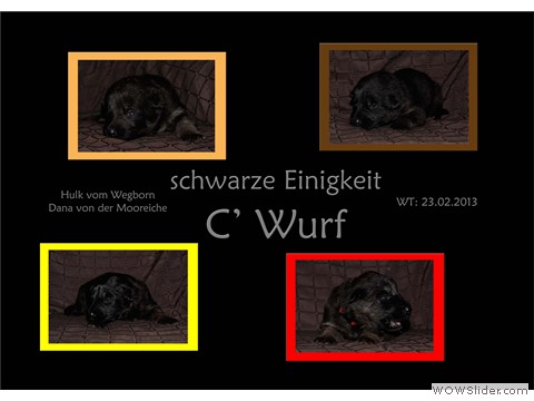 Galeriebild 3. Lebenswoche
